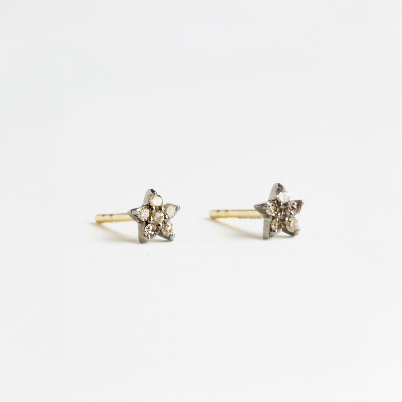 Stella Studs